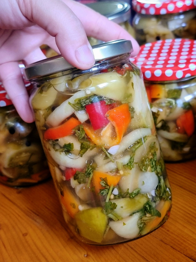 mila-od-oreshani-ima-svoja-gradina-so-ostatocite-od-zelenchuk-na-steblata-si-pravam-turshija-koj-e-mojot-recept-08_2.jpg
