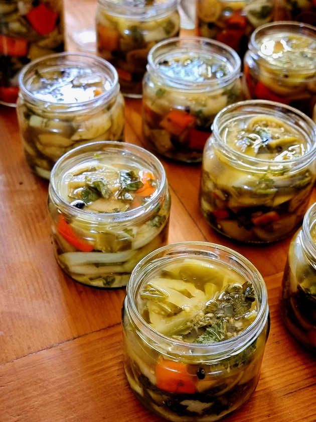 mila-od-oreshani-ima-svoja-gradina-so-ostatocite-od-zelenchuk-na-steblata-si-pravam-turshija-koj-e-mojot-recept-10_2.jpg