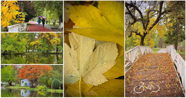skopje-ubavo-si-ni-i-pokraj-se-esenskata-idila-vo-gradskiot-park-foto-01_2.jpg