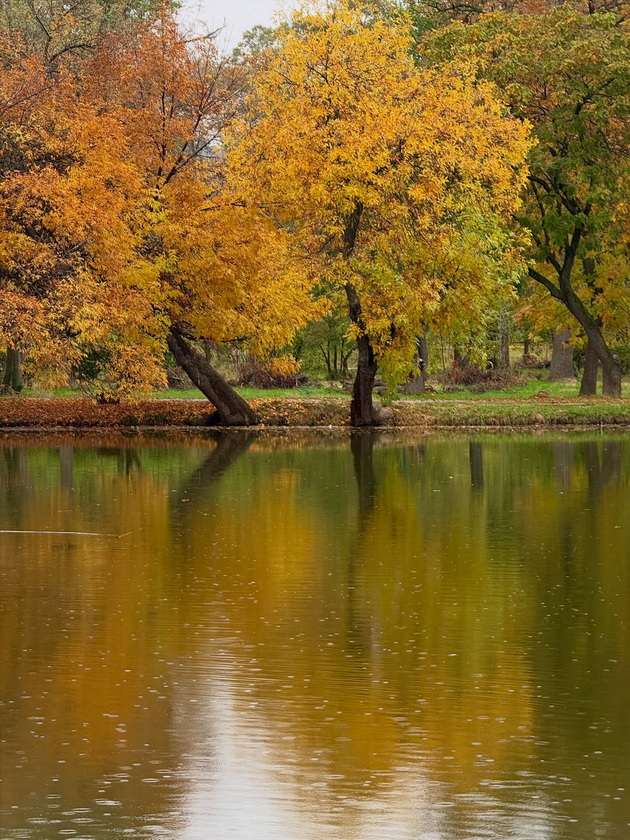 skopje-ubavo-si-ni-i-pokraj-se-esenskata-idila-vo-gradskiot-park-foto-02_2.jpg