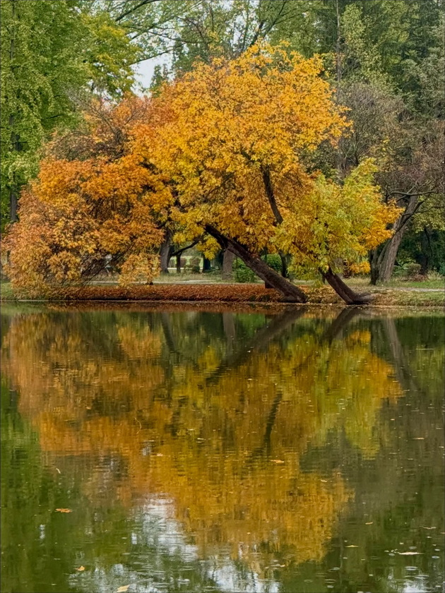 skopje-ubavo-si-ni-i-pokraj-se-esenskata-idila-vo-gradskiot-park-foto-03_2.jpg