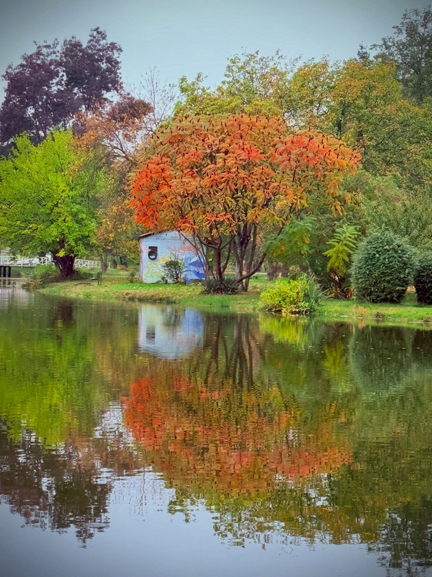 skopje-ubavo-si-ni-i-pokraj-se-esenskata-idila-vo-gradskiot-park-foto-04_2.jpg