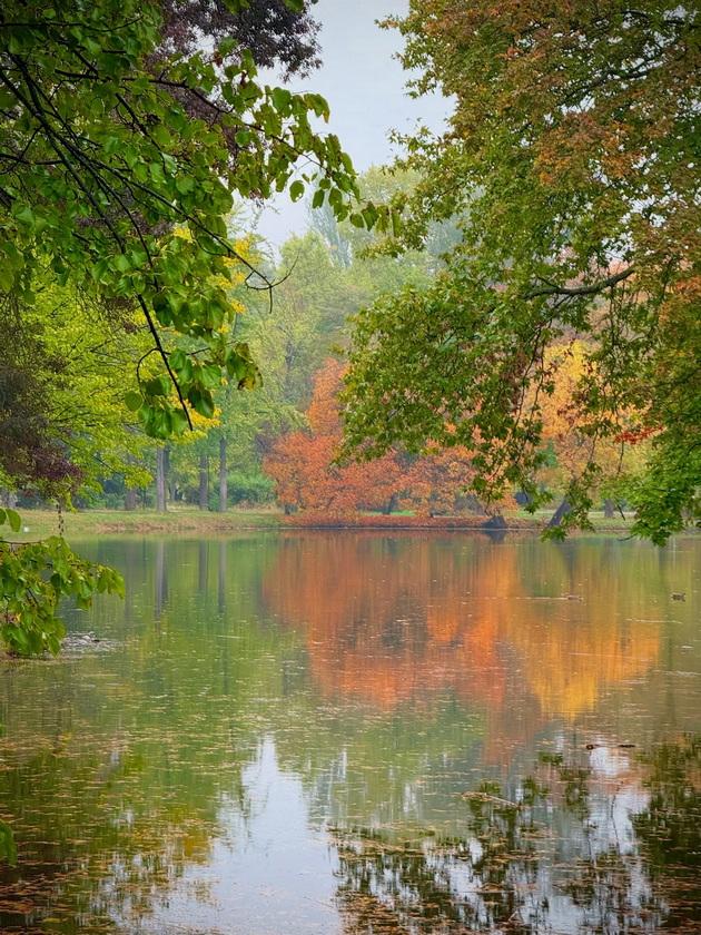 skopje-ubavo-si-ni-i-pokraj-se-esenskata-idila-vo-gradskiot-park-foto-07_2.jpg