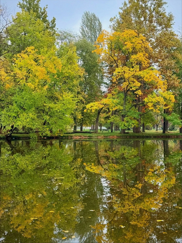 skopje-ubavo-si-ni-i-pokraj-se-esenskata-idila-vo-gradskiot-park-foto-08_2.jpg