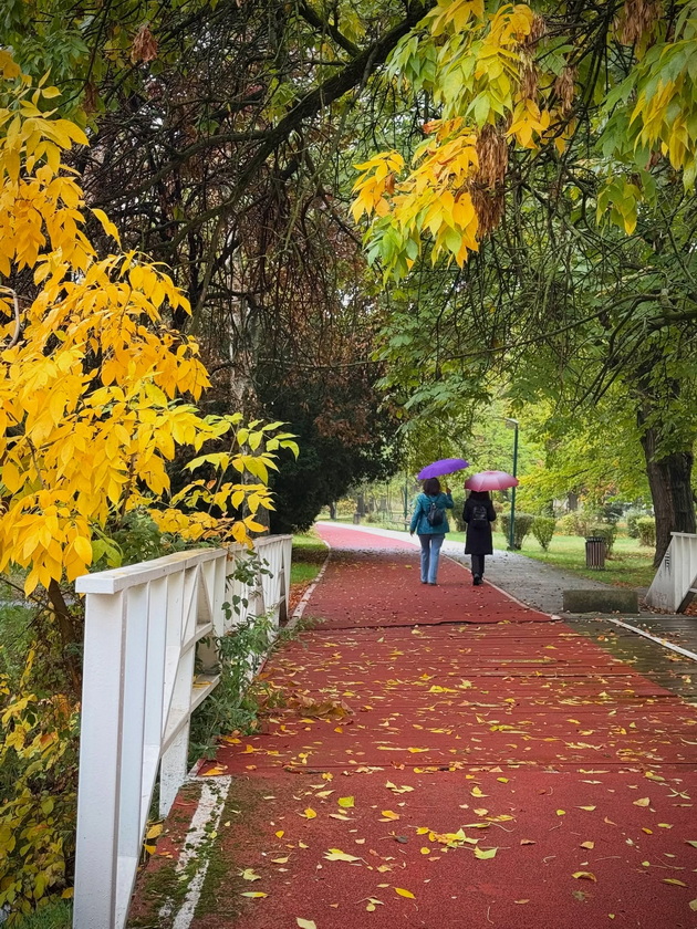 skopje-ubavo-si-ni-i-pokraj-se-esenskata-idila-vo-gradskiot-park-foto-10_2.jpg