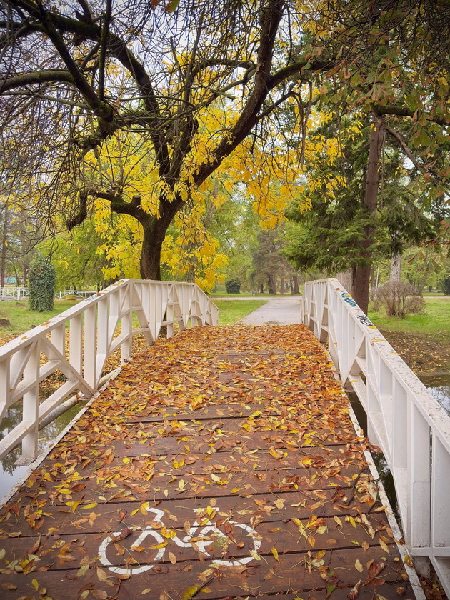 skopje-ubavo-si-ni-i-pokraj-se-esenskata-idila-vo-gradskiot-park-foto-12_2.jpg