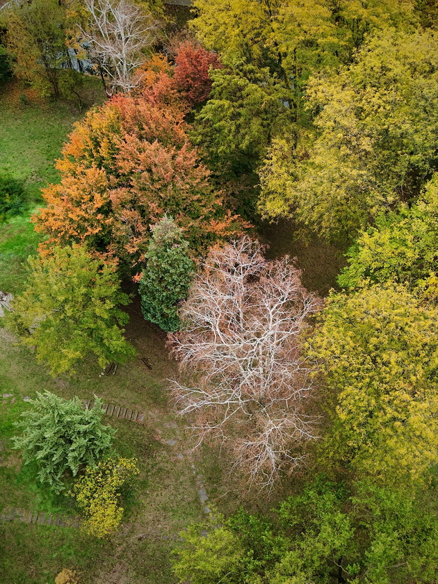 skopje-ubavo-si-ni-i-pokraj-se-esenskata-idila-vo-gradskiot-park-foto-15_2.jpg
