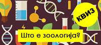 kviz-za-seznajkovci-kje-pogodite-li-10-nauchni-granki-povekje.jpg