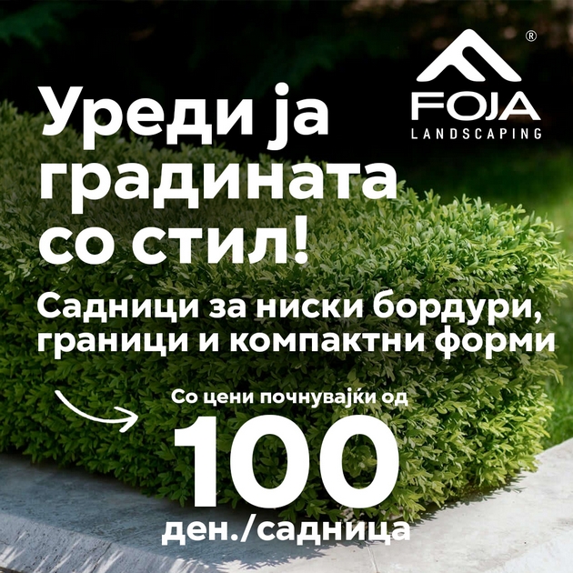 oktomvri-e-kluchniot-mesec-za-sadenje-rastenija-shto-preporachuvaat-ekspertite-01.JPG