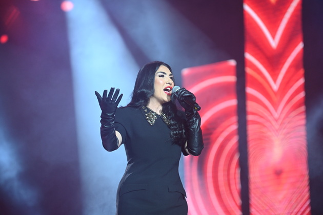 najemotivnite-momenti-na-makfest-2025-koki-peeshe-sam-bez-dule-stojan-troicki-se-rasplaka-za-nagradata-za-zhivotno-delo-58_copy.JPG