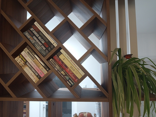 ruzhica-od-skopje-imam-biblioteka-od-400-knigi-chitam-vo-avtobus-na-pat-kon-rabota-koi-mi-se-omileni-11.jpg