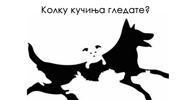 test-kolkava-e-vashata-mentalna-vozrast-spored-toa-kolku-kuchinja-gledate-na-slikata-01.jpg