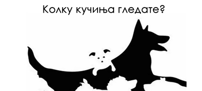 test-kolkava-e-vashata-mentalna-vozrast-spored-toa-kolku-kuchinja-gledate-na-slikata-povekje01.jpg