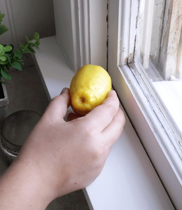 neprijatni-mirisi-chistenje-za-shto-se-mozhete-da-koristite-limoni-vo-domot-04.JPG
