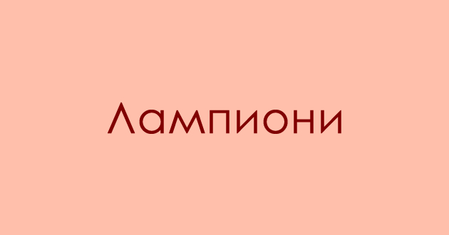 predizvik-za-poznavachite-na-dijalekti-shto-se-dzundzurki-02.jpg