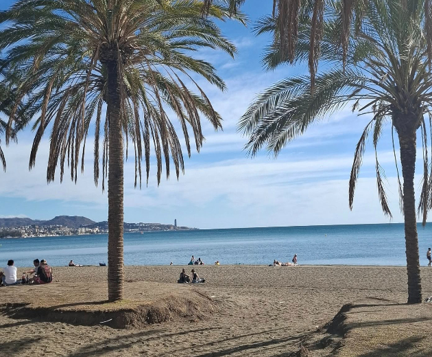 prekrasnata-andaluzija-vo-noemvri-probavme-opash-od-bik-uzhivavme-vo-zvucite-na-flamenkoto-i-mediteranskoto-sonce-11_1.jpg