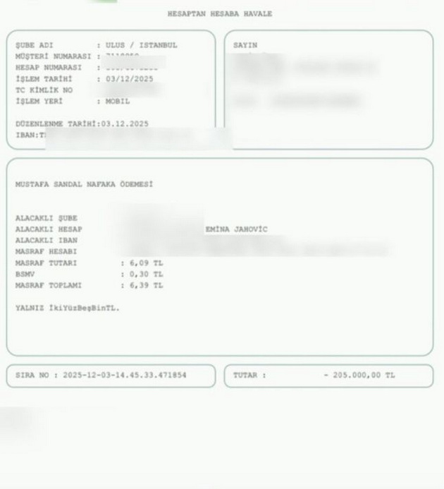 emina-jahovikj-povtorno-go-tuzhi-mustafa-sandal-ne-i-kupil-kukja-vo-belgrad-dolgo-vreme-ne-plakjal-alimentacija-.jpg