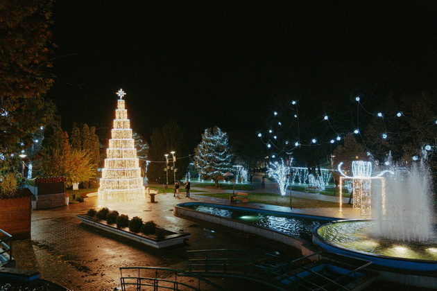 novogodishnata-magija-pristigna-i-vo-veles-gradot-ukrasen-so-golema-elka-i-bezbroj-svetilki-06_copy.jpg