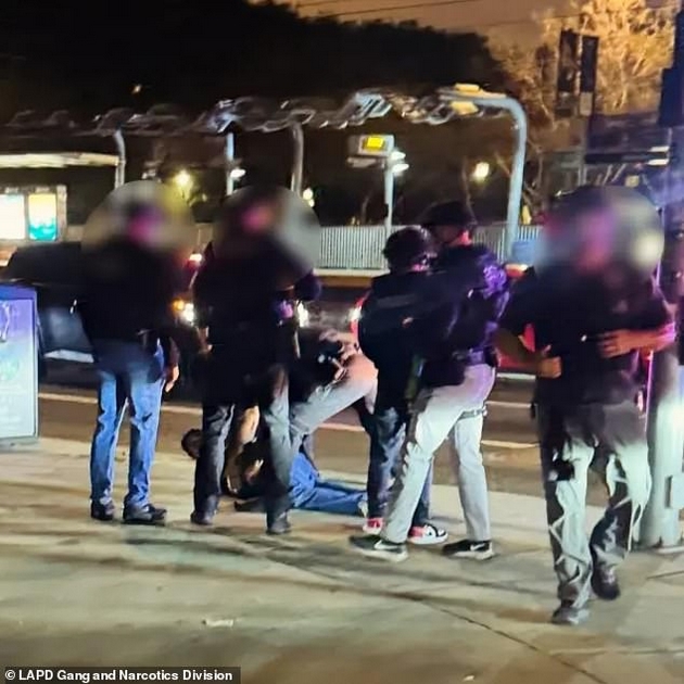 dramatichni-fotki-od-apsenjeto-na-sinot-na-ubieniot-rezhiser-rob-rajner-i-soprugata-go-prijavila-sestra-mu-se-kriel-vo-hotel-08.JPG