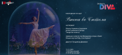 novogodishnata-magija-pristignuva-vo-bitola-viena-vo-bitola-vo-izvedba-na-orkestar-diva-pvoekje.jpg