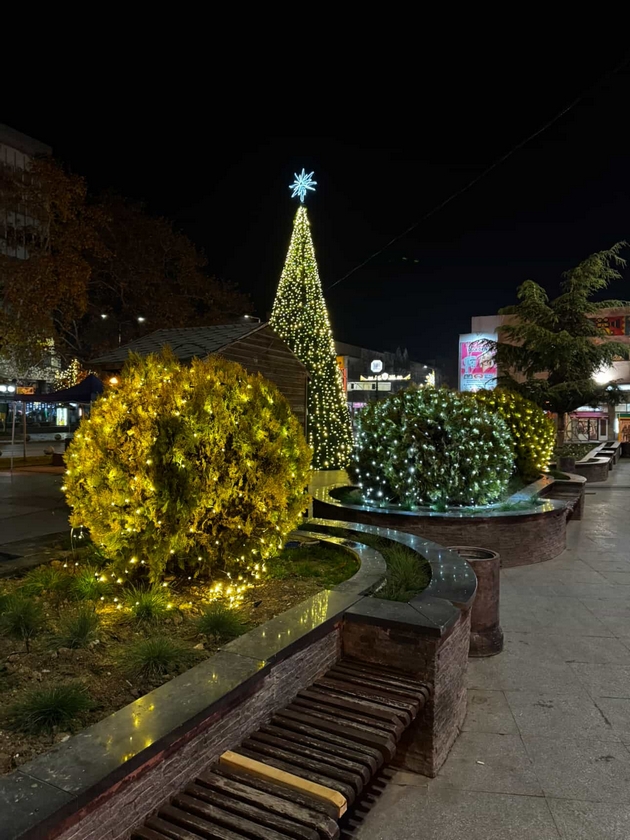 praznichna-magija-vo-kavadarci-mnogu-sijalichki-golema-elka-i-shtandovi-za-greeno-vino-na-ploshtadot-foto-11.JPG