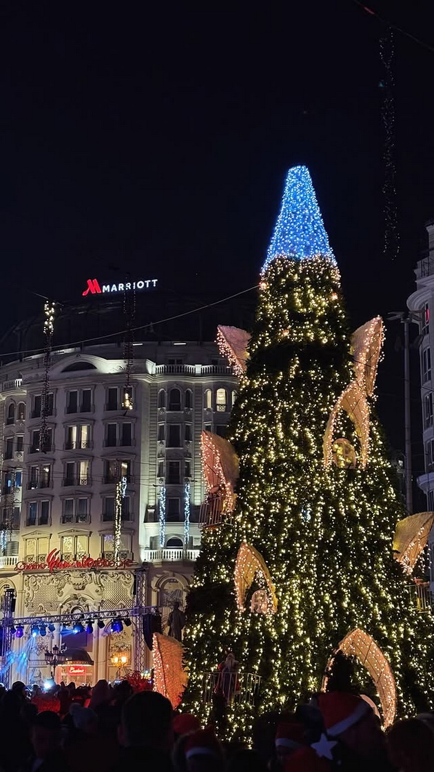 blesna-novogodishnata-elka-na-ploshtadot-vo-skopje-praznichna-magija-so-iljadnici-svetilki-04.jpg