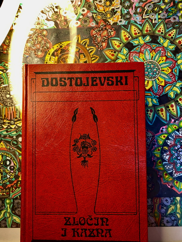 ljubica-od-gevgelija-ima-biblioteka-so-nad-500-knigi-koi-tri-i-se-omileni-05_copy.jpeg