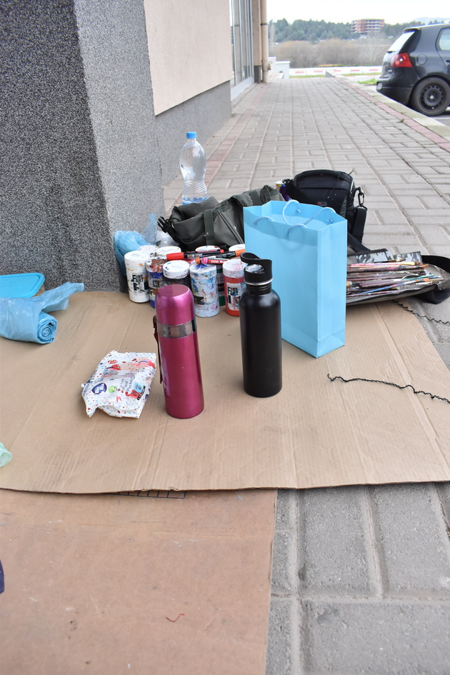 makedonka-razubavuva-vlezovi-vo-shtip-so-novogodishni-sliki-mi-trebaat-5-do-10-chasa-za-eden-vlez-10_copy.jpg