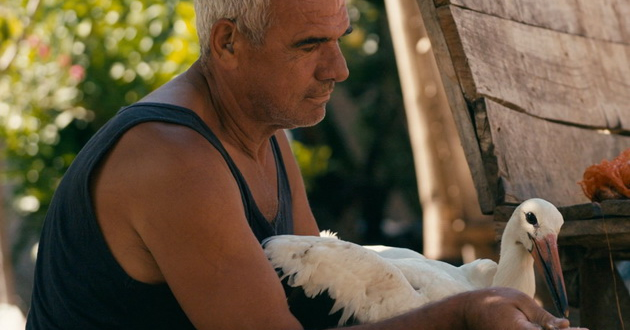 prognozite-ne-se-ostvarija-siljan-ne-vleze-vo-top-15-filmovi-za-oskarovskata-trka-01.jpg