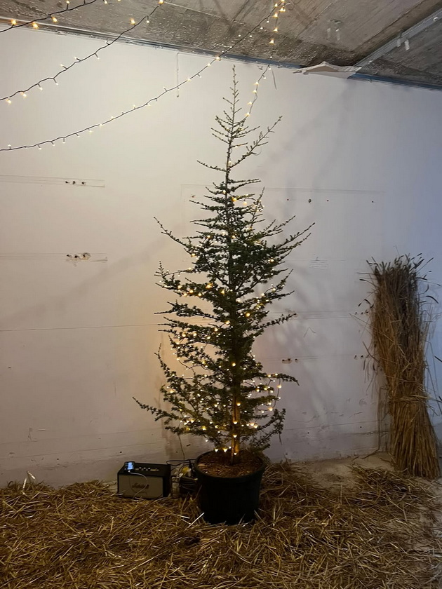 severina-slavi-badnik-so-grda-elka-i-kristalni-chashi-kade-e-mama-tamu-e-domot-12_copy.jpg