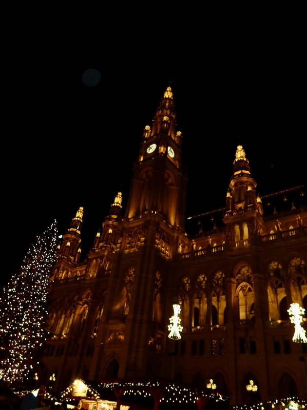 sinot-na-severina-so-prada-kapche-od-500-na-bozhikjen-market-vo-viena-pejachkata-vo-raskoshna-bunda-se-vozi-na-ringishpil-06.jpg