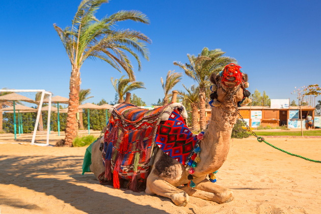top-20-destinacii-koi-treba-da-gi-posetite-vo-2026-ta-spored-iskusni-patuvachi-17.jpg