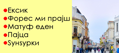 literaturen-kviz-koe-e-znachenjeto-na-eksik-i-na-ushte-10-zborovi-na-bitolski-dijalekt-01povekje_copy_copy.jpg