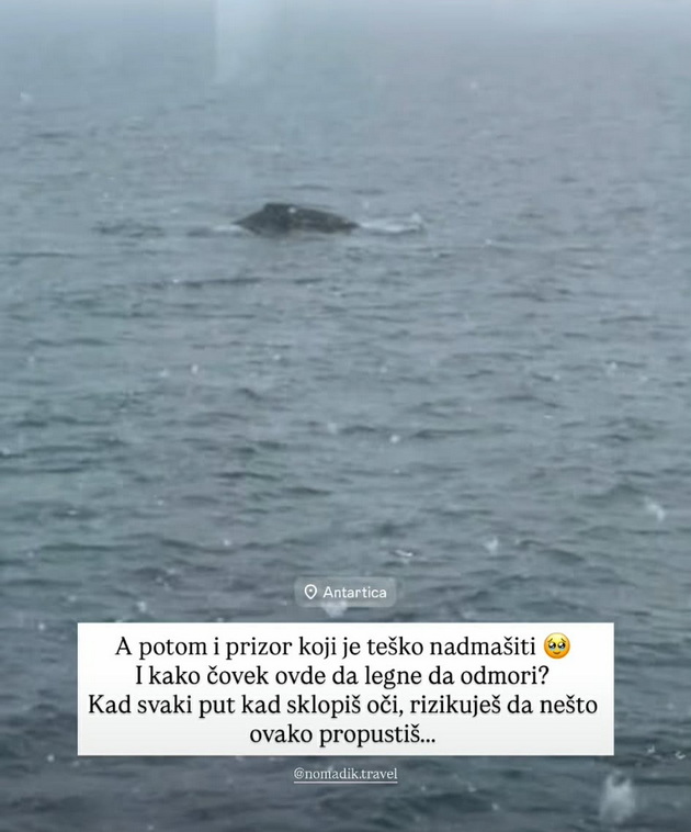 pingvini-foki-srbinka-plache-od-srekja-na-antarktikot-i-skokna-vo-ledeniot-juzhen-okean-foto-video-07.jpg