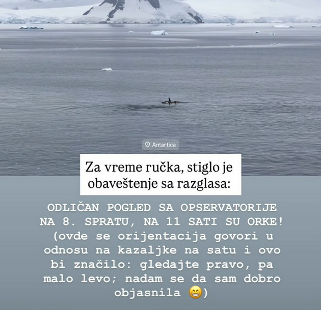 pingvini-foki-srbinka-plache-od-srekja-na-antarktikot-i-skokna-vo-ledeniot-juzhen-okean-foto-video-10.jpg