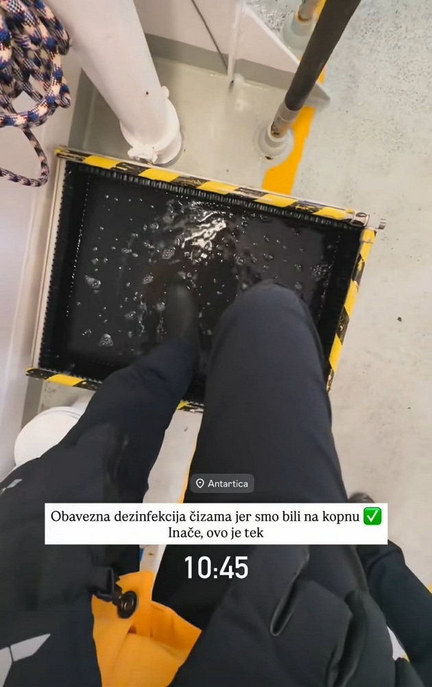 pingvini-foki-srbinka-plache-od-srekja-na-antarktikot-i-skokna-vo-ledeniot-juzhen-okean-foto-video-15.jpg
