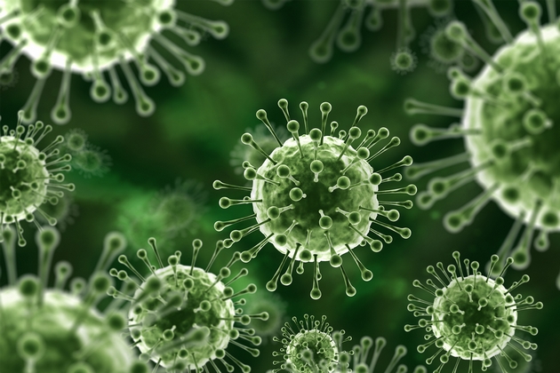 nema-lek-ili-vakcina-se-prenesuva-od-liljaci-shto-znaeme-za-smrtonosniot-virus-nipah-koj-se-pojavi-vo-indija-09.JPG