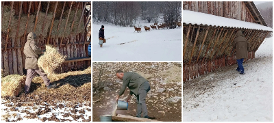 od-nacionalen-park-galiica-otkrija-kako-se-grizhat-za-elenite-po-popularnoto-video-sega-ima-nad-200-edinki-foto-povekje.jpg