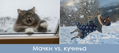 kuchinja-koi-obozhavaat-sneg-i-machki-koi-go-mrazat-kako-nivnoto-odnesuvanje-go-pokazhuva-toa-poveke-01.jpg
