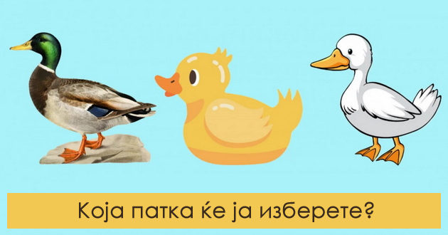 realen-test-na-lichnosta-izberete-edna-patka-i-doznajte-shto-otkriva-za-vashiot-karakter-01.jpg