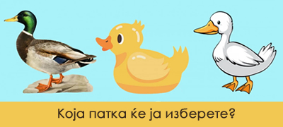 realen-test-na-lichnosta-izberete-edna-patka-i-doznajte-shto-otkriva-za-vashiot-karakter-poveke-01.jpg