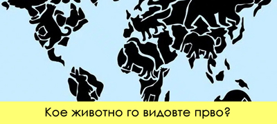 test-na-lichnosta-prvoto-zhivotno-shto-kje-go-vidite-otkriva-shto-najlesno-mozhe-da-ve-iznervira-poveke-01.jpg