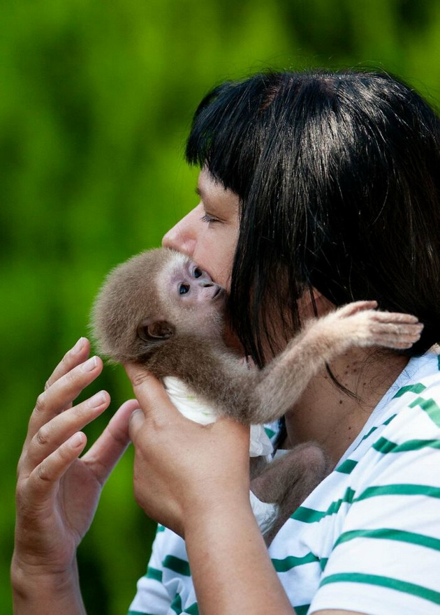 10-emotivni-sceni-od-skopje-zoo-topat-srca-niz-objektivot-na-goran-anastasovski-04.jpg
