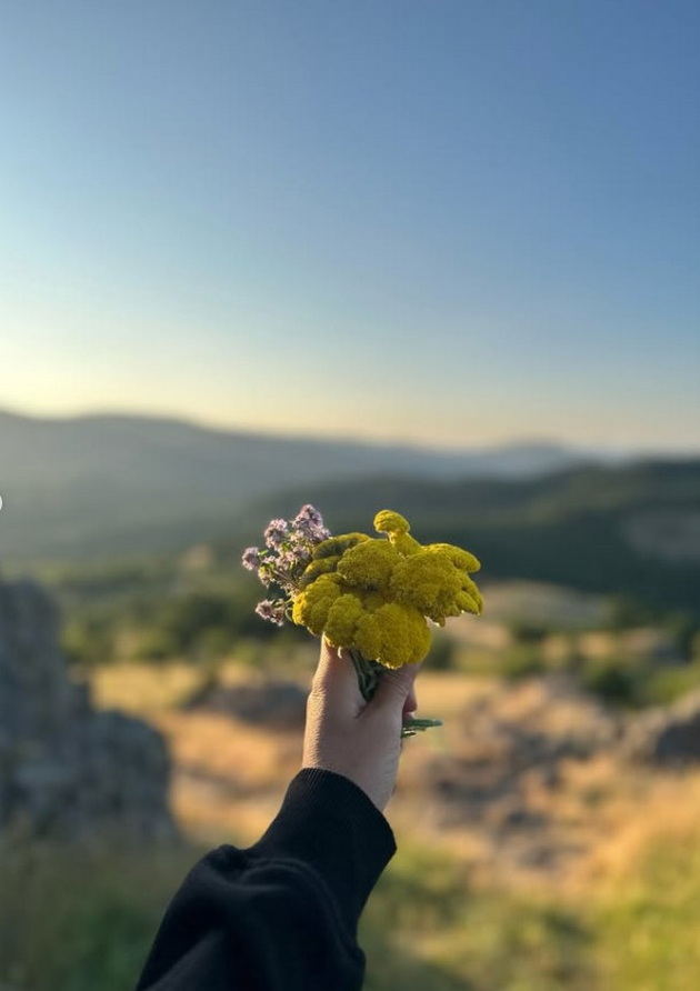 influenserkata-za-hrana-viki-i-sestra-na-spendjarska-se-svrshi-so-sakaniot-djek-14.jpg