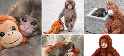 majmuncheto-od-japonija-stana-viralen-hit-so-igrachkata-orangutan-od-ikea-sega-site-takvi-igrachki-se-rasprodadeni-01povekje.jpg