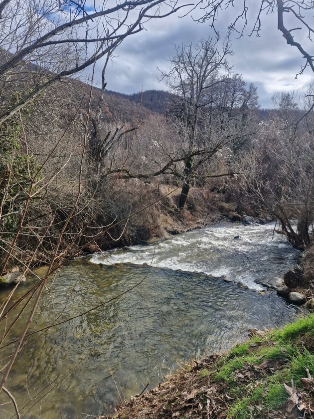 makedonka-pomina-edna-sedmica-vo-svojata-drvena-kukjarka-na-selo-gushkashe-jarinja-se-greeshe-na-drva-17.jpg