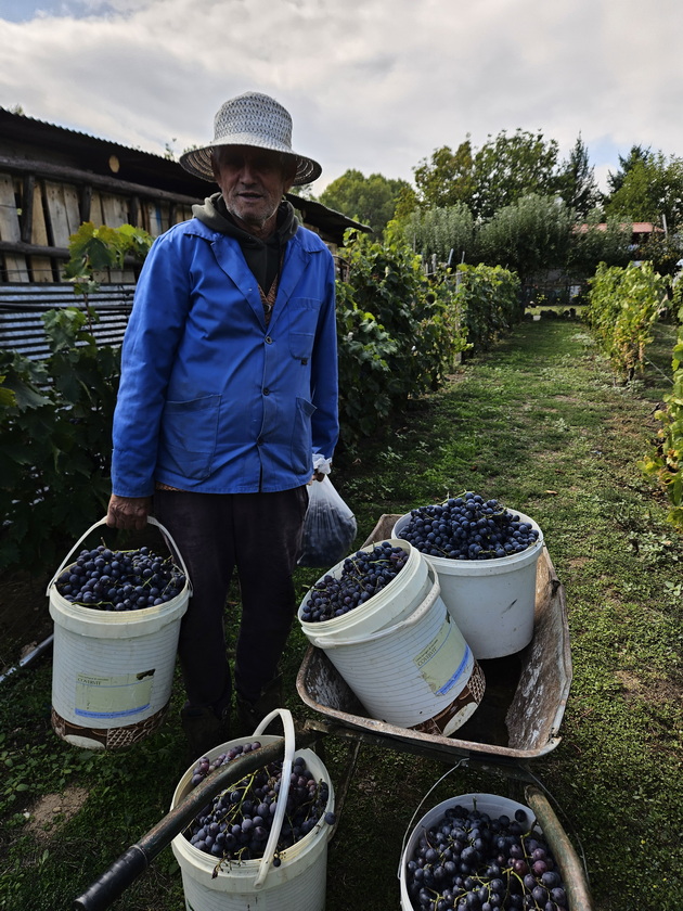 mario-21-od-bitola-uchi-fakultet-i-ima-farma-vo-selo-krklino-nosam-kozi-na-pasenje-sobiram-jajca-od-kokoshkite-14.jpg