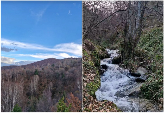 meshtani-doma-si-gnasite-betika-zgrozena-od-gjubreto-vo-prekrasnoto-selo-bukovo-na-4km-od-bitola-10.jpg