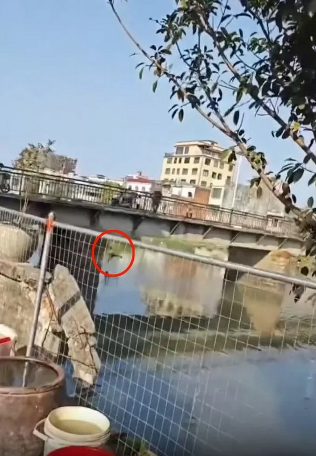 voznemiruvachko-video-tatko-si-go-frli-deteto-vo-reka-srede-zhestoka-raspravija-so-soprugata-03.jpg