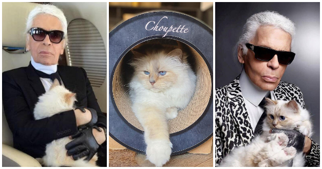 drama-za-testamentot-na-karl-lagerfeld-ostavi-milioni-na-svojata-machka-na-semejstvoto-ne-mu-dade-nishto-01.jpg